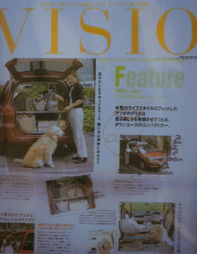 VIsio 2 1